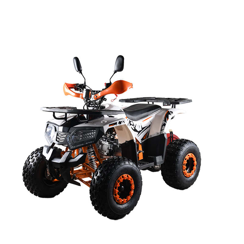 110cc CE EPA  ATV Adult 4-Whee - Outdoor Adventure Quad Biking recension och pris