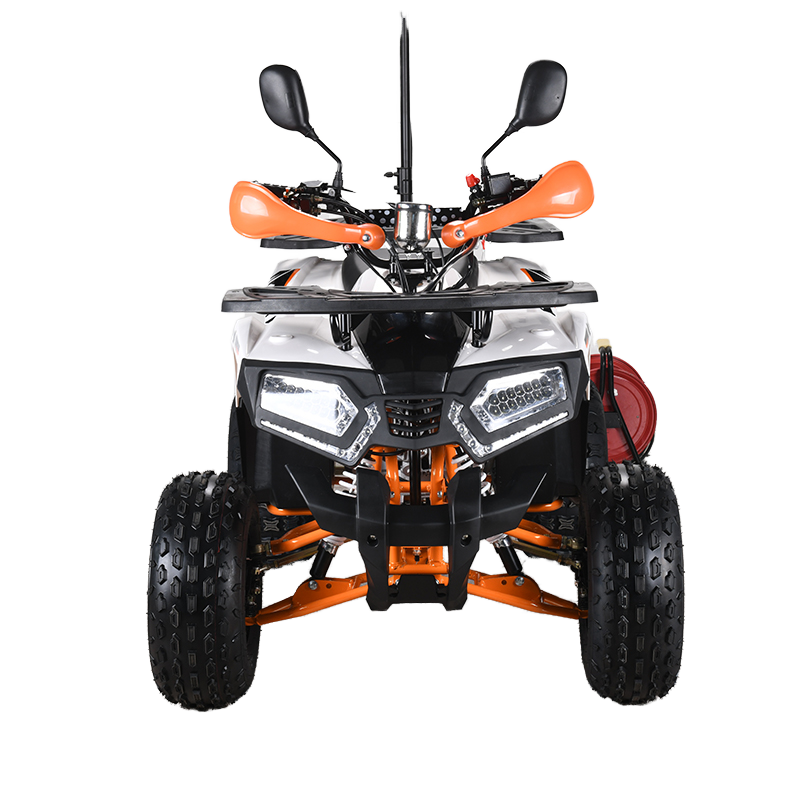 110cc CE EPA  ATV Adult 4-Whee - Outdoor Adventure Quad Biking recension och pris