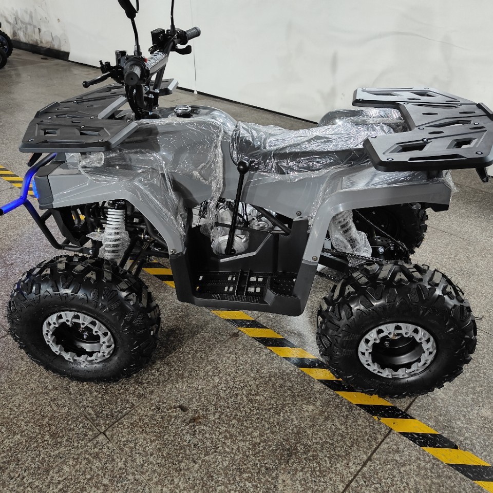 ATV 125cc, All-Terrain Quad Bi - Outdoor Adventure Quad Biking recension och pris