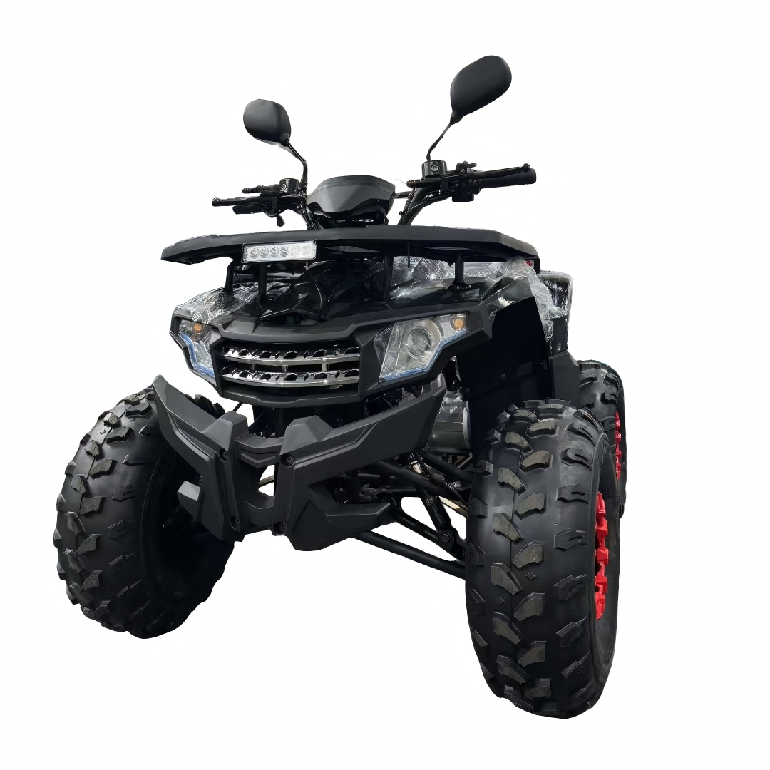2026 New Model 125cc 4-Stroke  - Outdoor Adventure Quad Biking recension och pris