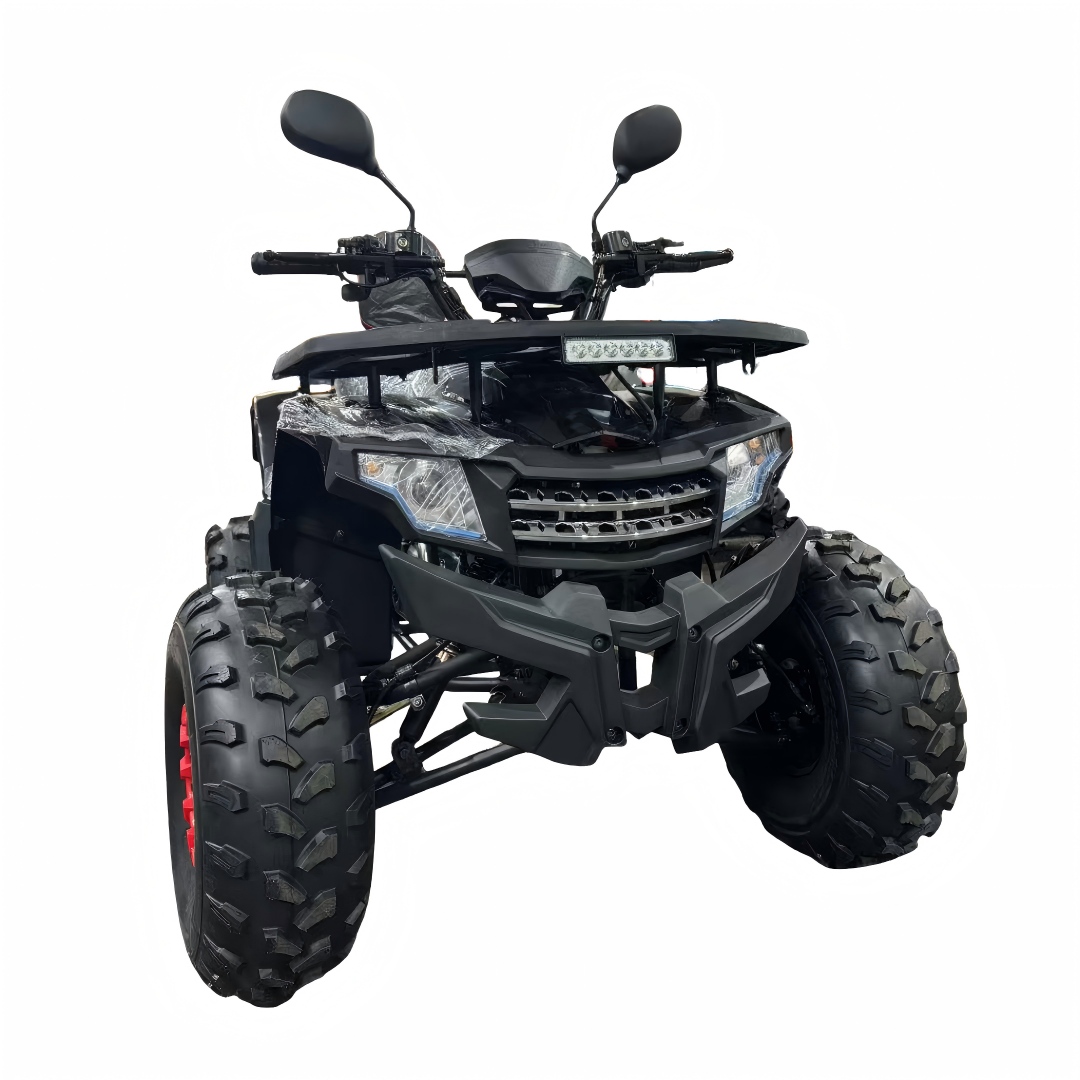 2026 New Model 125cc 4-Stroke  - Outdoor Adventure Quad Biking recension och pris