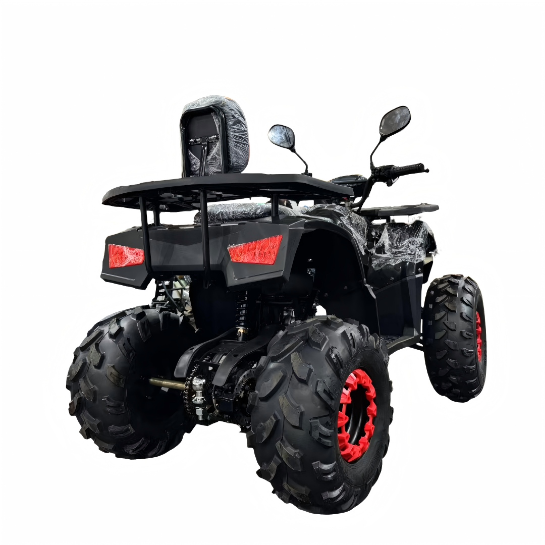 2026 New Model 125cc 4-Stroke  - Outdoor Adventure Quad Biking recension och pris