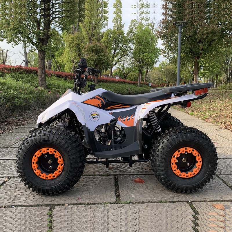 125CC ATV, Small Falcon All-Te - Outdoor Adventure Quad Biking recension och pris