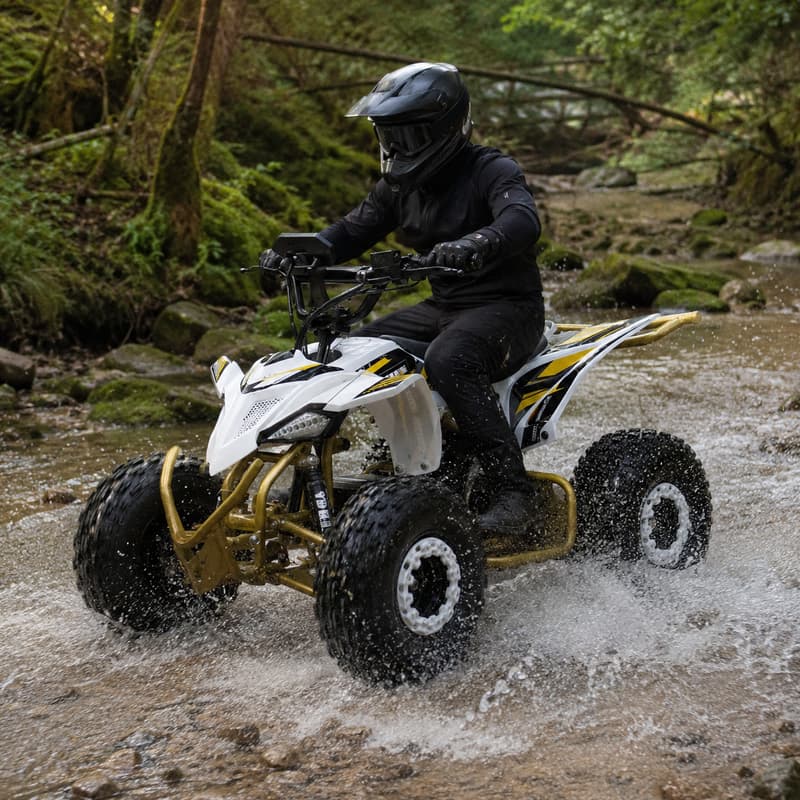 Adult Dune Buggy Customized Fo - Outdoor Adventure Quad Biking recension och pris