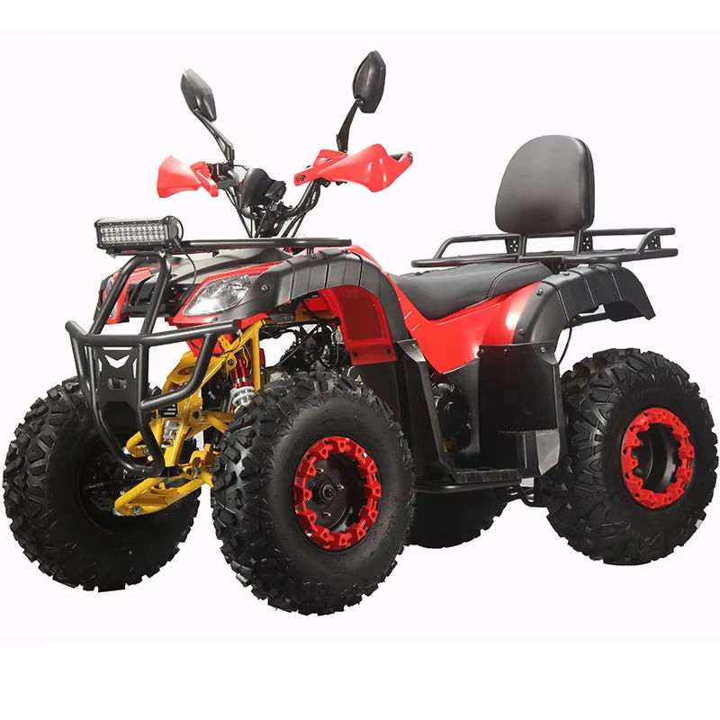 Adult Dune Buggy Customized Fo - Outdoor Adventure Quad Biking recension och pris