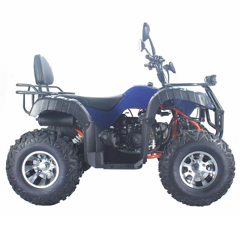 Racing Adult Dune Buggy Custom - Outdoor Adventure Quad Biking recension och pris