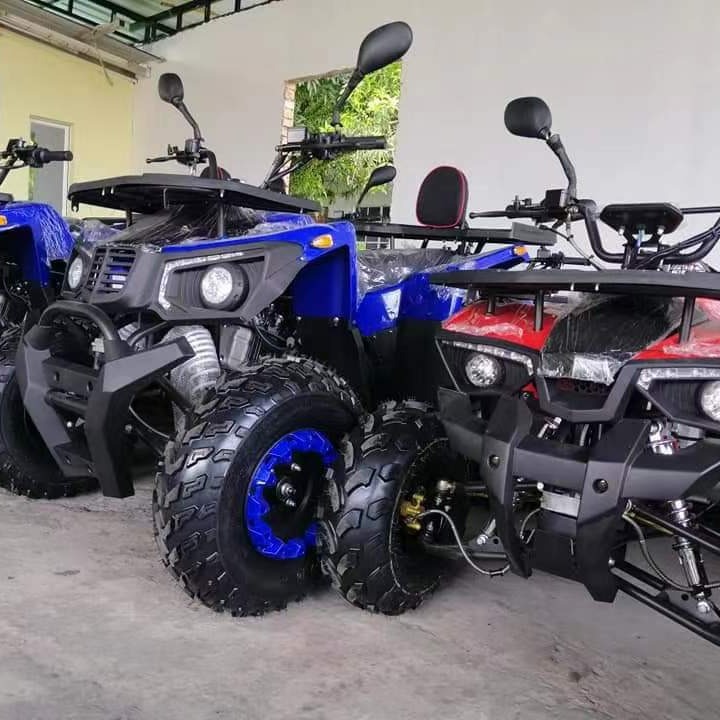 All Terrain Sand Buggy 200CC G - Outdoor Adventure Quad Biking recension och pris