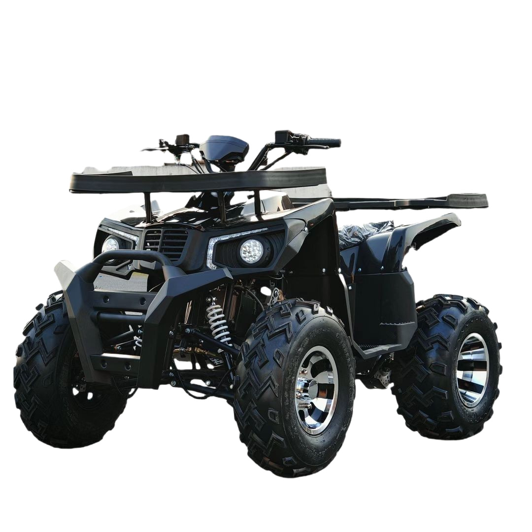 All Terrain Sand Buggy 200CC G - Outdoor Adventure Quad Biking recension och pris