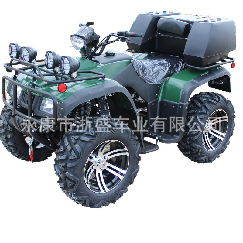 ATV 250cc, 4-Wheel All-Terrain - Outdoor Adventure Quad Biking recension och pris